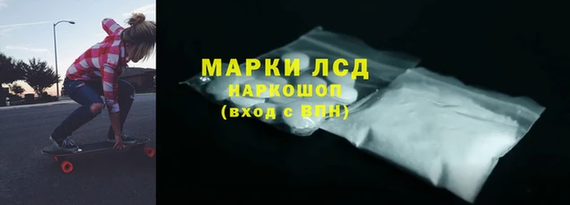 мяу мяу мука Белокуриха