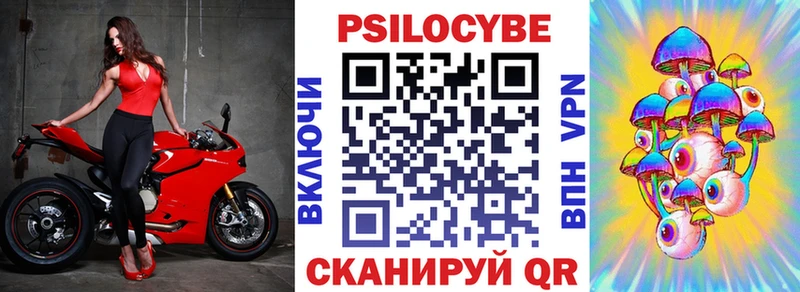 kraken ССЫЛКА  Волжск  Псилоцибиновые грибы мицелий  где купить наркотик 