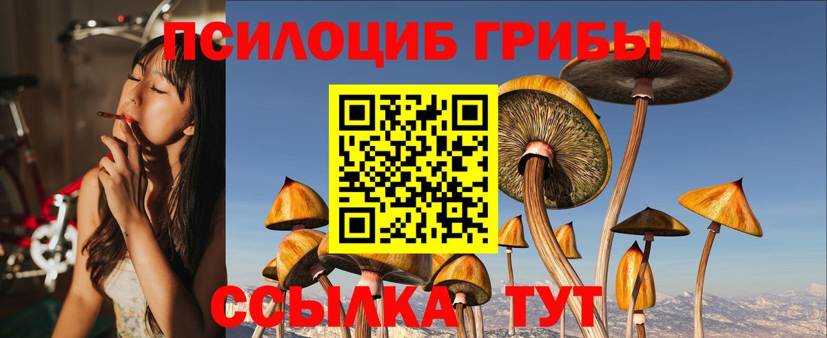 Галлюциногенные грибы MAGIC MUSHROOMS  купить закладку  Волжск  Вход с VPN 
